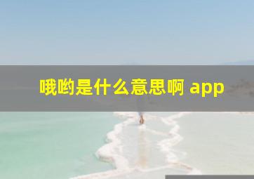 哦哟是什么意思啊 app